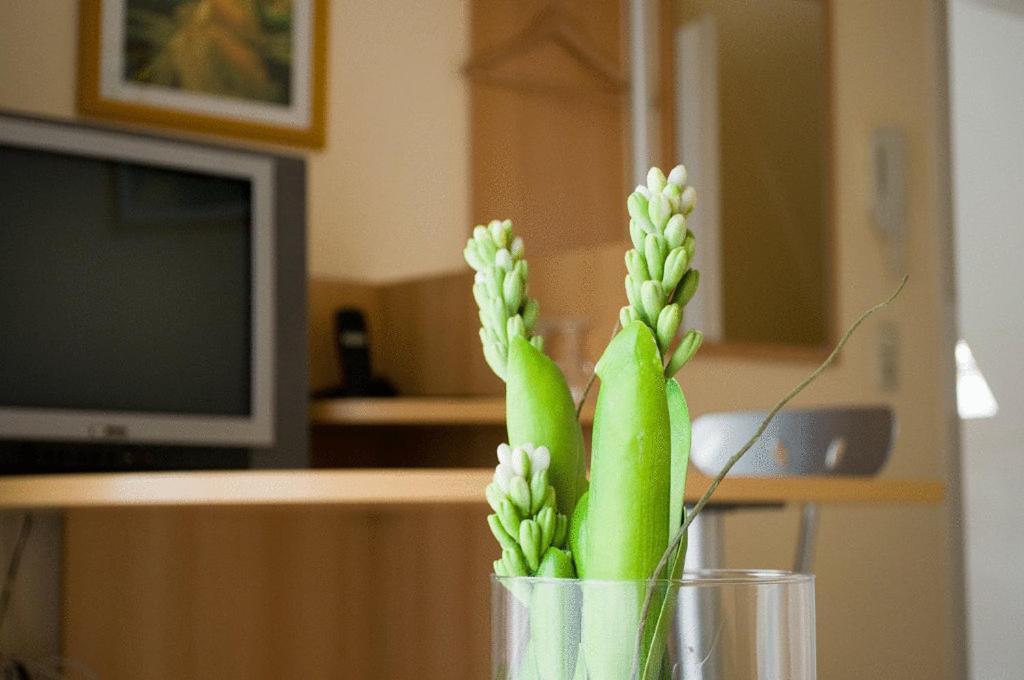 Hotel Hilgers Düren - Eifel Eksteriør bilde