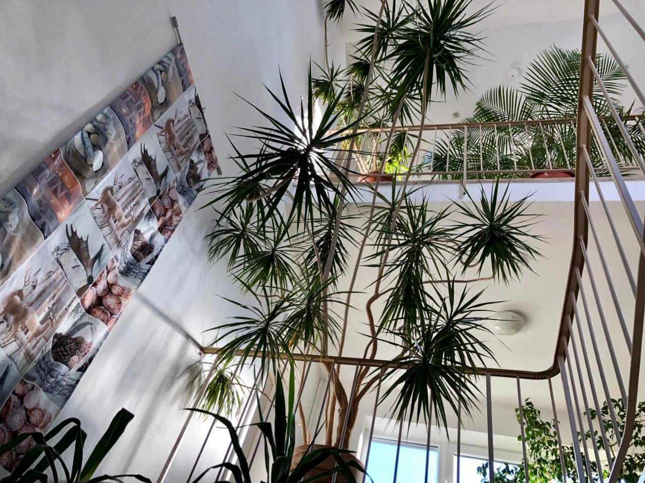 Hotel Hilgers Düren - Eifel Eksteriør bilde